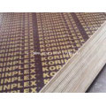 Pallet Boards Brown Film Poplar Core WBP Glue First Grade